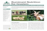 Ruminant Nutrition for Graziers ~ PDF€¦ · Another advantage of rumen fermentation is microbial synthesis of important vitamins and amino acids. All the vitamins the ani-mal needs