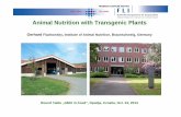 Animal Nutrition with Transgenic Plants - HAH · Animal Nutrition with Transgenic Plants Gerhard Flachowsky, Institute of Animal Nutrition, ... vitamins Grain: maize, wheat, barley