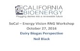 SoCal – Energy Vision RNG Workshop October 27, 2016 Dairy … · 2019-09-08 · SoCal – Energy Vision RNG Workshop. October 27, 2016. Dairy Biogas Perspective. Neil Black. About