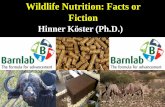 Wildlife Nutrition: Facts or Fiction · •Lactation, pregnancy, maintenance, growth, etc. •Specific but different daily nutrient requirements for: •Protein, energy, macro- and