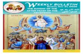 WEEKLY BULLETIN › wp-content › uploads › 05-31... · 2020-05-31 · WEEKLY BULLETIN Sunday, May 31, 2020 THE SUNDAY OF THE AFTER-FEAST OF THE ASCENSION The Weekly Bulletin is