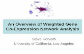 An Overview of Weighted Gene Co-Expression Network Analysis · 2018-08-07 · Test set – 55 gbms r = 0.56; p-2.2 x 10-16. Validation set – 65 gbms. r = 0.55; p-2.2 x 10-16. The