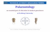 ELICKI NAMIBIA palaeo-education2. course “Micropalaeontology” • evolution of the “micro-world” & global interactions • microfossils as palecological/facies indicators •