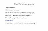 Gas Chromatography › ... › 01 › Lecture20-2015.pdf Gas Chromatography 1. Introduction 2. Stationary phases 3. Retention in Gas-Liquid Chromatography 4. Capillary gas-liquid chromatography