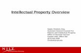 Intellectual Property Overview · Intellectual Property Overview. Sanjiv Chokshi, Esq. Assistant General Counsel For . Patents and Intellectual Property. Office of General Counsel