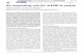 An expanding role for mTOR in cancersabatinilab.wi.mit.edu/Sabatini papers/Guertin-mTOR_rev-TiMM-2005… · An expanding role for mTOR in cancer ... mTOR–raptor, a regulator of