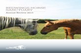 REDWINGS HORSE SANCTUARY - Redwings Annual Revie › Redwings Review 2013.pdf · 2013 was a very busy year at Redwings Horse Sanctuary, with over 200 neglected horses, ponies and