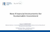 New Financial Instruments for Sustainable Investmentmedia.celsiuscity.eu/2015/09/New-financial-instruments-for-sustainable-investments...New Financial Instruments for Sustainable Investment
