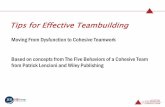 Tips for Effective Teambuilding - NCncipma.onefireplace.com › resources › Documents... · Tips for Effective Teambuilding Moving From Dysfunction to Cohesive Teamwork Based on