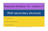 RNA secondary structure - Rensselaer Polytechnic Institute · When RNA secondary structure matters mRNA --> protein ssRNA protein Strong secondary structure can block translation.