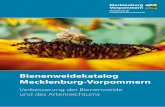 Bienenweidekatalog Mecklenburg-Vorpommern · 2020-02-10 · In Mecklenburg-Vorpommern werden 62 % der gesamten Landesfläche landwirtschaftlich genutzt. Damit kommt den Landwirten