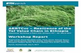 AERTCvc – Resilience of the Tef Value Chain in Ethiopia ... · 4 AERTCvc – Resilience of the Tef Value Chain in Ethiopia As this project adopts a TD research approach, knowledge,