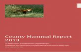 County Mammal Report 2013 - The RSPB Community · A second document, the Dumfries & Galloway Mammal Handbook, contains more specific information on each species with photographs and