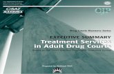 Executive Summary: Treatment Services in Adult Drug Courts · Suzette Brann DC Pretrial Services Washington, DC Melody Heaps President, TASC Inc. Chicago, IL Michael Kriner President,
