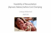 Resuscitation before Cord Clamping · Katheria AC et al Acceptability of Bedside Resuscitation With Intact Umbilical Cord to Clinicians and Patients' Families in the United States.