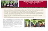 WASHINGTON STATE UNIVERSITY EXTENSION FACT SHEET …WASHINGTON STATE UNIVERSITY EXTENSION FACT SHEET • FS053E There is interest among farmers in western Washington and many other