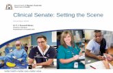 Clinical Senate: Setting the Scene - Department of Health/media/Files/Corporate/general documents... · Clinical Senate: Setting the Scene November 2016 Dr D J Russell-Weisz Director
