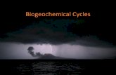 Biogeochemical Cycles - Weebly · 2. Air, which is 79% nitrogen gas (N 2), is the major reservoir of nitrogen. a. Most organisms cannot use nitrogen from the air. b. Plants must secure
