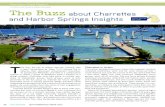 about Charrettes and Harbor Springs Insights · Eight community leaders attended a Placemaking Summit hosted by the Northwest Council of Governments in March 2011—the catalyst for