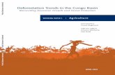 Deforestation Trends in the Congo Basin - World Bank · x Deforestation Trends in the Congo Basin: Reconciling Economic Growth and Forest Protection. NEPAD New Partnership for Africa’s