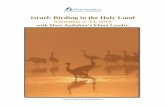 Israel: Birding in the Holy Land - Mass Audubon · Israel: Birding in the Holy Land ... Today, we’ll pack our breakfasts to get an early start on birding the desert area close to