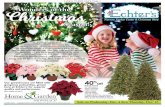 Wonders of the Christmas - Echter's Nursery & Garden CenterAll-Natural Jams Homemade jam is an exquisite, time-saving condiment for the modern cook. Try the Chokecherry Jam! 20% Off
