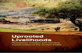 Uprooted Livelihoods - MA'AN Development Centermaan-ctr.org/old/pdfs/FSReport/Village/vf.pdf · 2019-03-21 · Uprooted Livelihoods Palestinian Villages and Herding Communities in