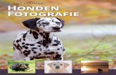 Femke Puijman Honden Fotografie - hypofocus.comhypofocus.com/hondenfotografieboek/Inkijk-exemplaar-hondenfotogr… · De honderden foto’s in dit boek geven een helder beeld van