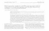 Phylogenetic analysis of ITS and group I intron sequences ...Phylogenetic analysis of ITS and group I intron sequences from European and North American samples of cetrarioid lichens