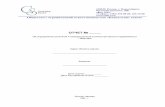 Типовой отчет-Консалтинг сквэаcons-s.ru/media/tip_otch(2).pdf · 2010-06-13 · – Федеральный стандарт оценки №1, «Общие