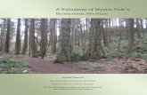 A Valuation of Mystic Vale - UrbanEcology.ca Technical Series/Doucet.pdf · Ecosystem services cannot be defined in the absence of natural capital; mainly because natural capital