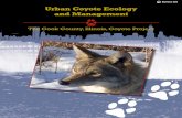 The Cook County, Illinois, Coyote Project...5 In 2000, we initiated a comprehensive ecological study of coyotes in the Chicago metropolitan area, specifically Cook County, Illinois,