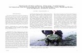 Removal of Sea Lettuce, Ulva spp., in Estuaries to Improve ... · 2 Marine Fisheries Review Figure 2.—Surface of a sea lettuce mat, Ulva lactuca, Navesink River, N.J., July 1994.