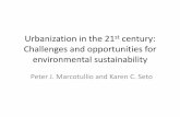 Urbanization in the 21 century: Challenges and ...sites.nationalacademies.org/cs/groups/dbassesite/documents/webp… · transf er a ns t anf rot ht ransi ser ve. To pogr aphy : Ste