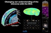 Changing our understanding of the Universe with …...Journée SKA au LAM Changing our understanding of the Universe with the SKA 7 Pulsars and the SKA Michael Kramer 1970 1975 1980