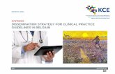 SYNTHESIS DISSEMINATION STRATEGY FOR CLINICAL PRACTICE ... · synthesis dissemination strategy for clinical practice guidelines in belgium anja desomer, tinne dilles, sarah steckel,