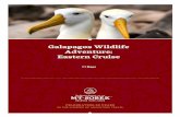Eastern Cruise Adventure: Galapagos Wildlife · Galapagos Wildlife Adventure: Eastern Cruise Come aboard a deluxe cruise through one of the most exotic places on earth! Encounter