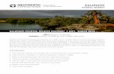 GALAPAGOS ESSENTIAL WILDLIFE DISCOVERY 7 …...GALAPAGOS ESSENTIAL WILDLIFE DISCOVERY 7 DAYS TRIP HIGHLIGHTS: • Flow between islands and activities with minimal transit time and
