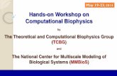 Hands-on Workshop on Computational Experiments with transgenic zebrafish embryo showed that FGF signaling is enhanced in the presence of BCI Zebrafish embryos treated with BCI have