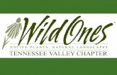 Agenda - Tennessee Valley Chapter of Wild Ones standing committees and committee chair board positions