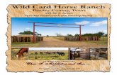 Wild Card Horse Ranch - LandAndFarmimages.landsofamerica.com/imgs2/29/80/ad/WildCardHorseBrochur… · Wild Card Horse Ranch Donley County, Texas We are pleased to offer the exclusive