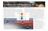 University of Washington • Washington Sea Grant Ocean ...€¦ · Ocean Acidification in Washington State OA in Washington State O ur region is experiencing ocean acidification