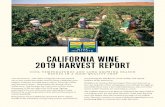 CALIFORNIA WINE 2019 HARVEST REPORT28rbcq2h1bmh1vlw303uo1et-wpengine.netdna-ssl.com/... · Winegrapes across California ripened at lower sugars, thanks to the extended, cool growing