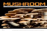 MuShRooM ManIfeSto - DOP · PDF file Stamets, that suggests it can break down toxic chlorine-based polychlorinated biphenyls, or PCBs. Most Americans think of mushrooms as ingredients