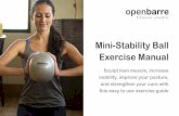Mini-Stability Ball Exercise Manual - Open Barre Fitness · 2017-08-03 · Mini-Stability Ball Exercise Manual. Sculpt lean muscle, increase mobility, improve your posture, and strengthen