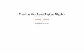 Constructive Homological Algebracoquand/FISCHBACHAU/t5.pdf · Constructive Homological Algebra Application of proof theory Elements of Mathematical Logic, by Kreisel and Krivine Herbrand’s