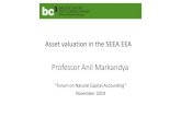Professor Anil Markandya · Professor Anil Markandya ... UK environmental asset Valuation: Results for 2016 Service Value £Mn. Method Used Provisioning Agricultural Biomass 118,426Residual