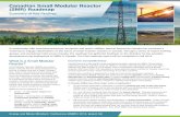 Canadian Small Modular Reactor (SMR) Roadmap - Natural Resources Canada€¦ · Canadian Small Modular Reactor (SMR) Roadmap Summary of Key Findings In partnership with interested