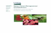 United States Department of New Pest Response Agriculture ... · European cherry fruit fly cherry fruit fly cherry maggot Biology and Ecology Rhagoletis cerasi is a univoltine (one