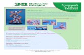 for Science Education - 3D Molecular Designs · Framework for Science Education Connections to: A Framework for K-12 Science Education Continued Practices, Crosscutting Concepts,